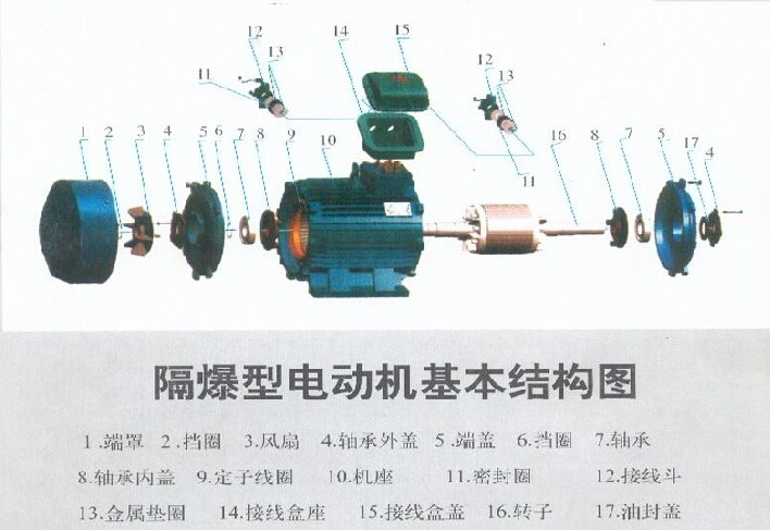 防爆電機(jī)結(jié)構(gòu)圖